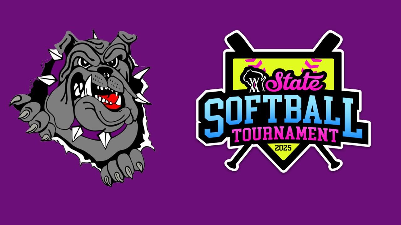 Ithaca drops softball state semi-final