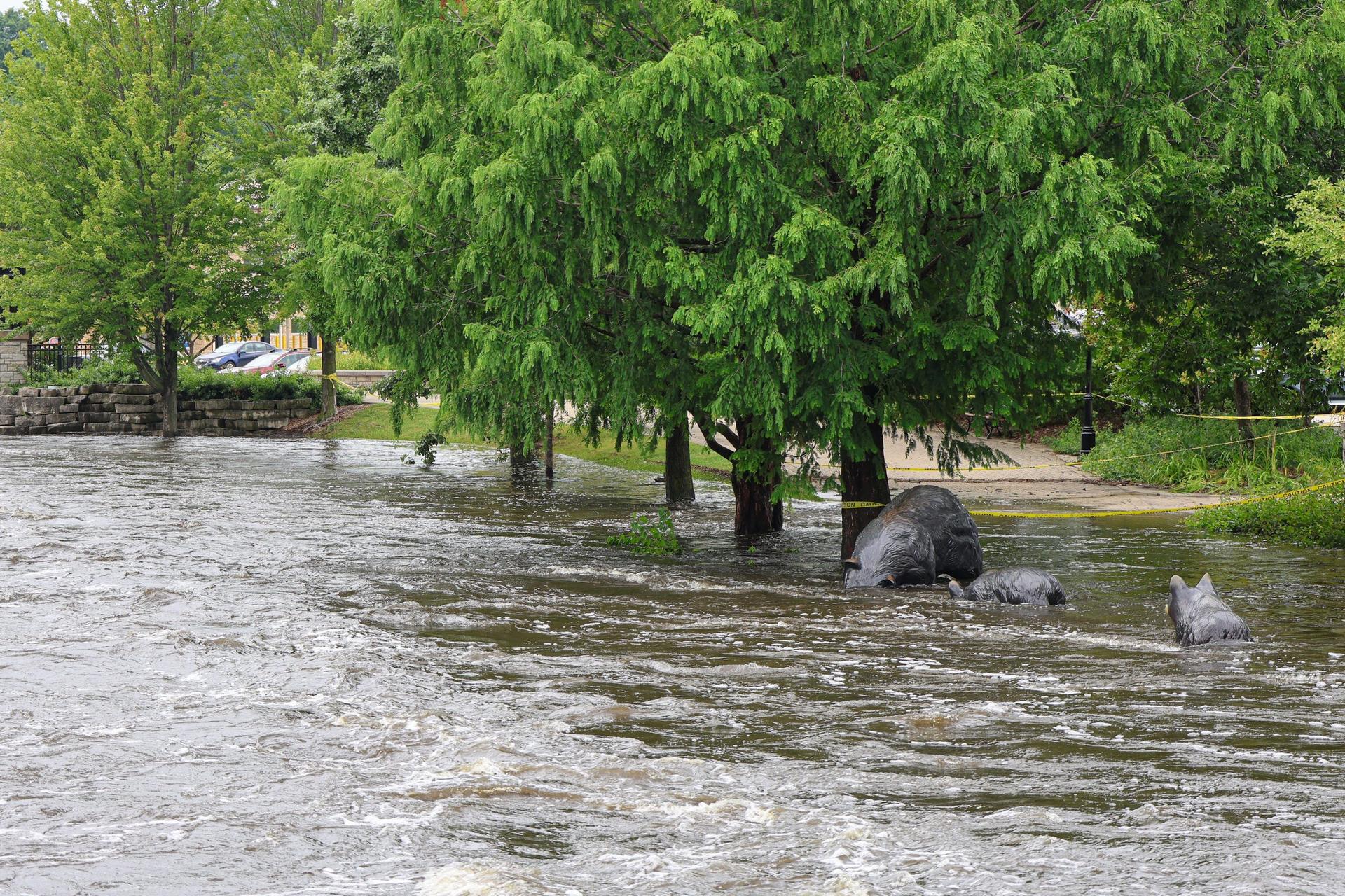 Wisconsin’s US Senators, House Reps endorse bipartisan letter requesting FEMA aid after Milwaukee County floods