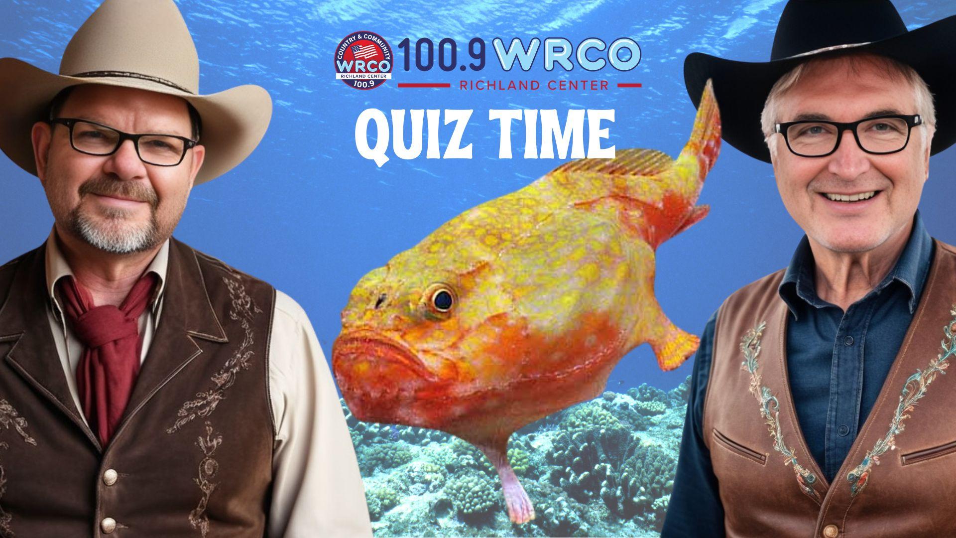 From the Bee Gees to the pink frogmouth fish, it’s quiz day!