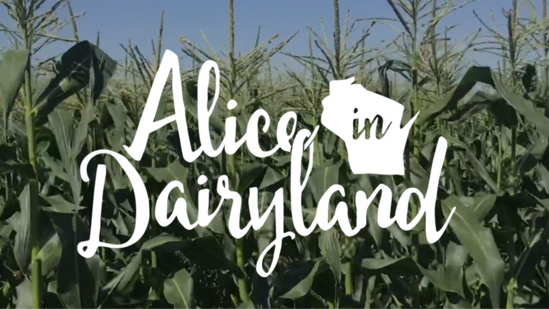 DATCP is accepting bids from counties to host the Alice in Dairyland Finals
