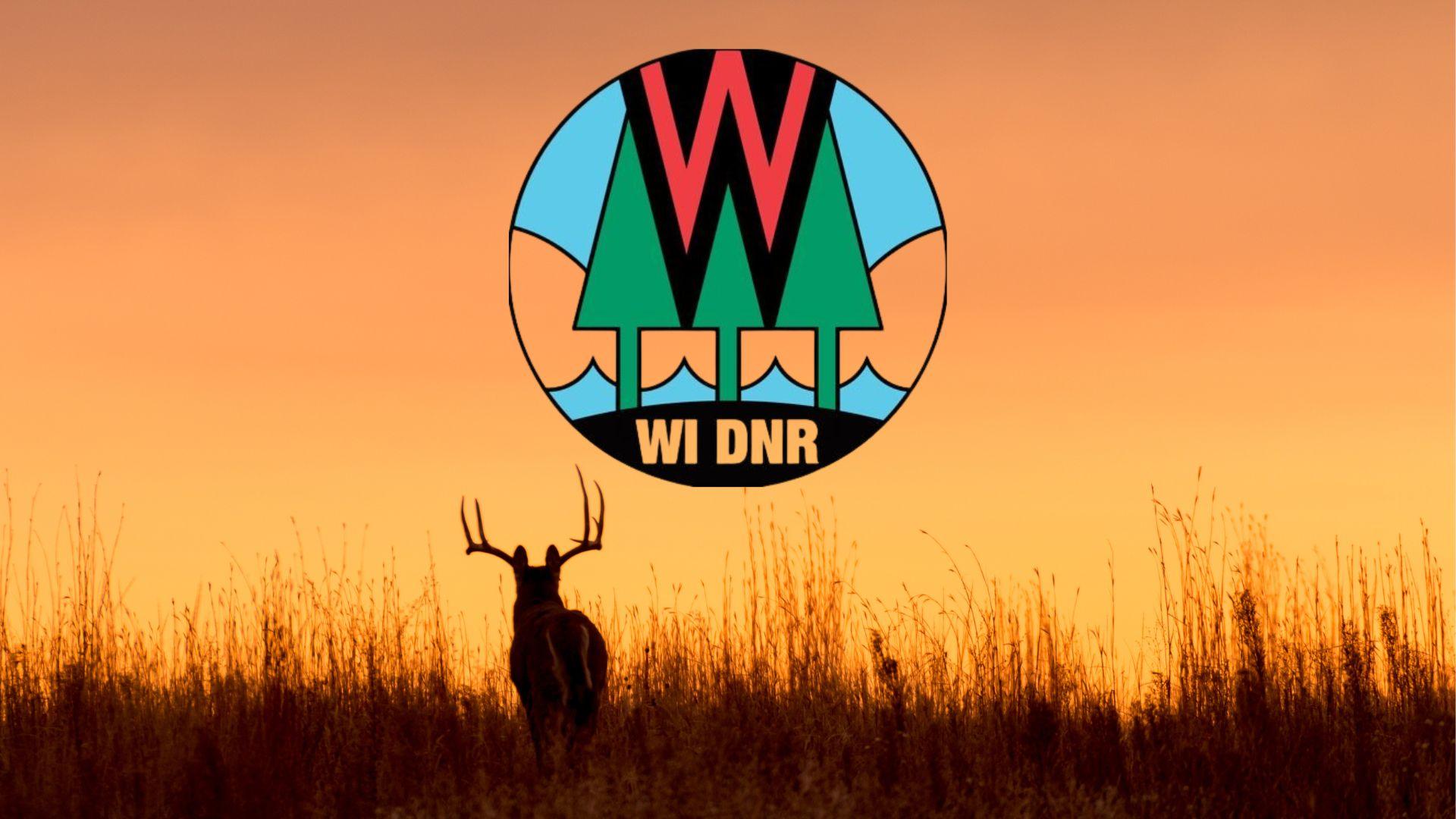 Over 2000 deer harvested during hunt tested positive for CWD